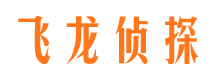 合山调查公司